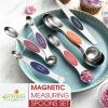 imageSpring Chef Stainless Steel Magnetic Measuring Spoons Set with Strong Magnets Heavy Duty Metal Kitchen Gadgets for Baking ampamp Cooking Fits in Most Kitchen Spice Jars Multicolor Set of 8 with LevelerMountain Sunrise
