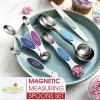 imageSpring Chef Stainless Steel Magnetic Measuring Spoons Set with Strong Magnets Heavy Duty Metal Kitchen Gadgets for Baking ampamp Cooking Fits in Most Kitchen Spice Jars Multicolor Set of 8 with LevelerWinter Frost